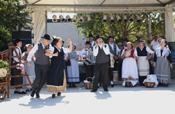 particolari del coro
