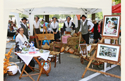 Gradisca, 2009, festa provinciale del Volontariato