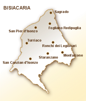 immagine territorio bisiacaria grande