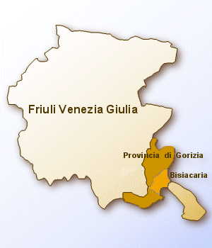 immagine FVG grande